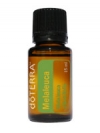 Melaleuca