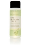 Pore Reducing Toner